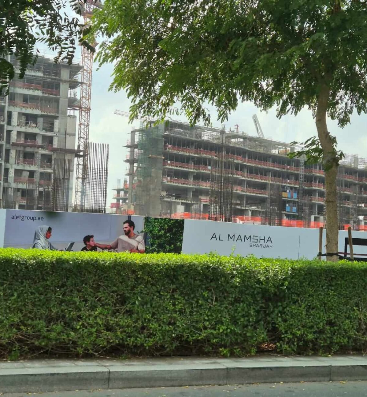 Al Mamsha Osprey Contractor